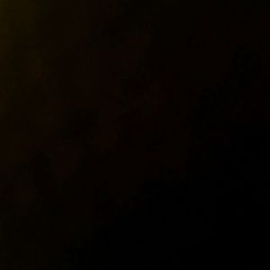 Meet your Posher, Dominick